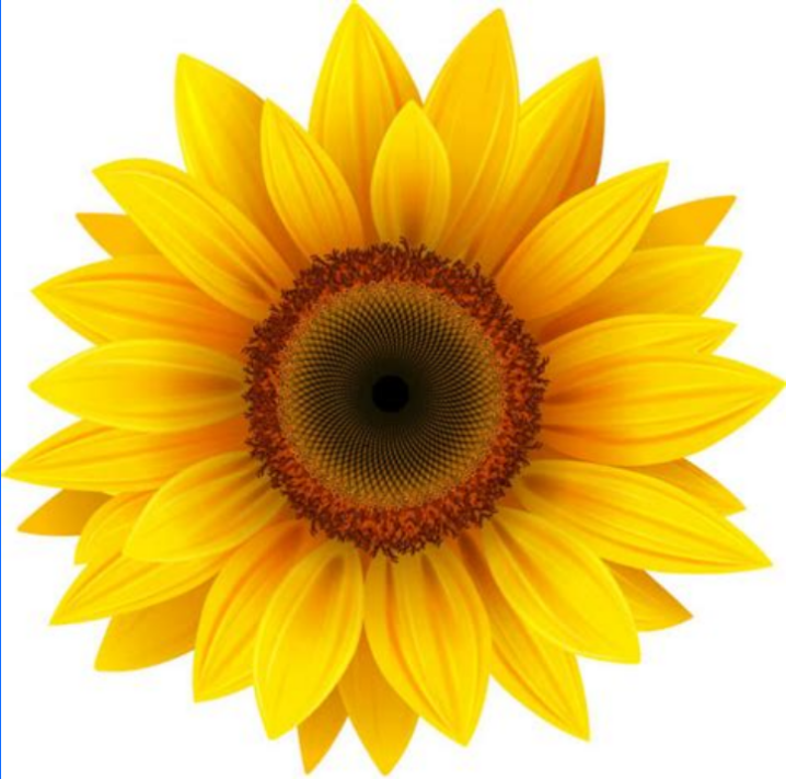 Revive (Soaking Salts for Feet)