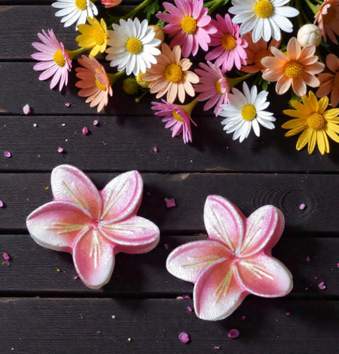 Plumeria