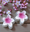Cherry Blossom