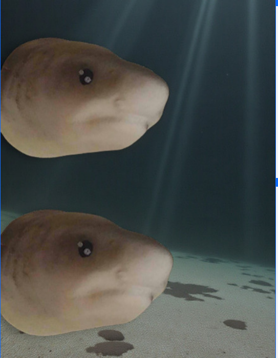 Jaws 3D