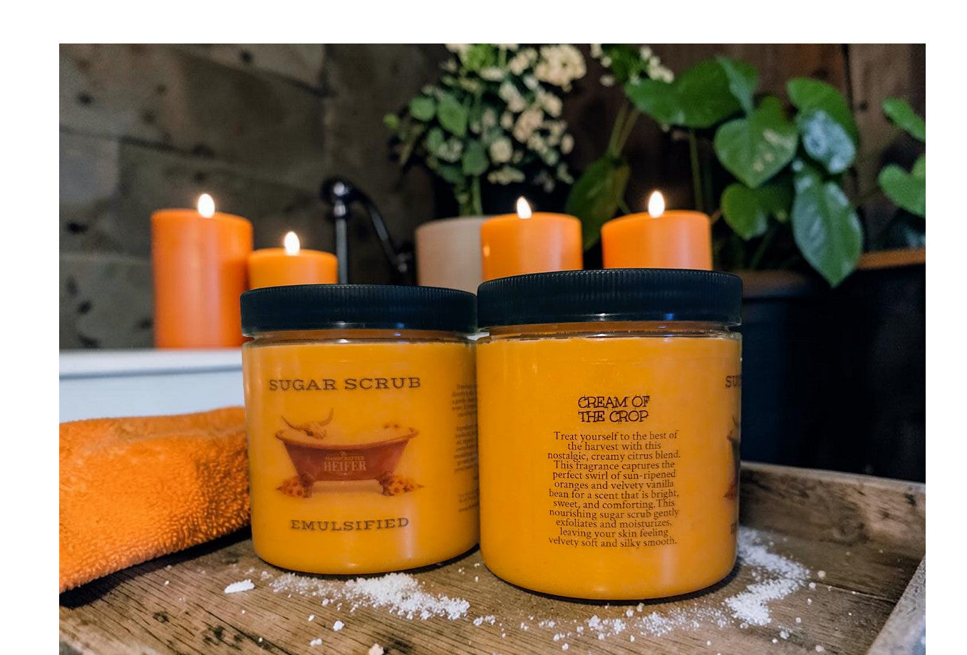 Sugar Scrub Colors