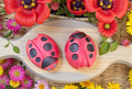 Ladybug