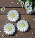 Mini Daisies