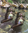 Otter Cutie